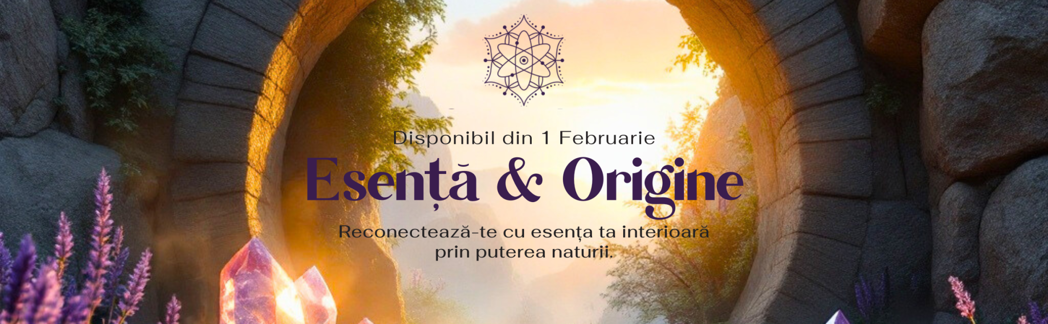 Uleiuri esentiale si cristale naturale pentru vindecare holistica Quantum Life